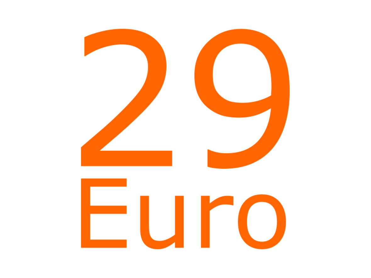 29-euro-ticket